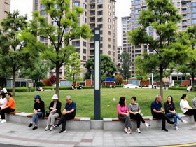 Pocket Parks in Chinese Cities: Micro-Updates of Public Spaces in High-Density Living