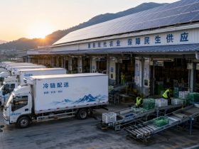 Beyond Livestream Sales: How Rural E-commerce is Transforming China's Countryside
