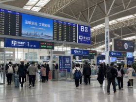 Navigating China’s Mega Train Stations: A Practical Guide to Finding Your Gate