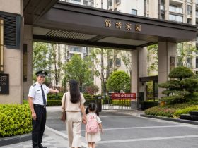 Navigating 'Wu Ye': The Power and Protocol of Chinese Property Management