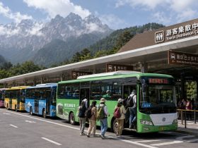 Scenic Area Shuttle Buses: Why You Can't Just Drive to the Mountain