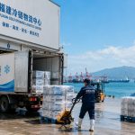 Cold Chains and Old Techniques: How Fujian’s Seafood Classics Defy Season Limits