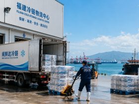 Cold Chains and Old Techniques: How Fujian’s Seafood Classics Defy Season Limits