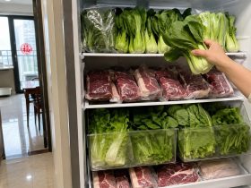 What’s Inside a Typical Chinese Family’s Refrigerator?