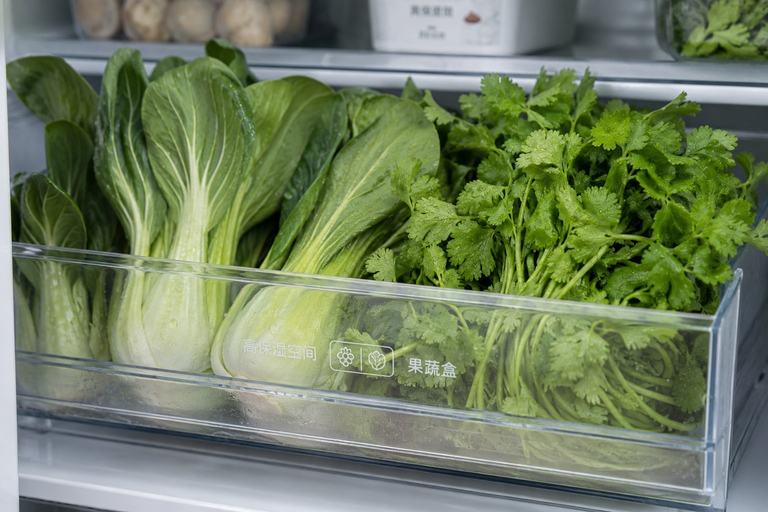 Close-up view of fresh green vegetables like bok choy stored in a Chinese refrigerator drawer, emphasizing the preference for fresh produce over processed foods.
