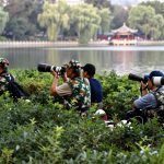 The 'Lens Uncles': Retirees Staking Out Public Parks with $10,000 Cameras to Photograph Birds