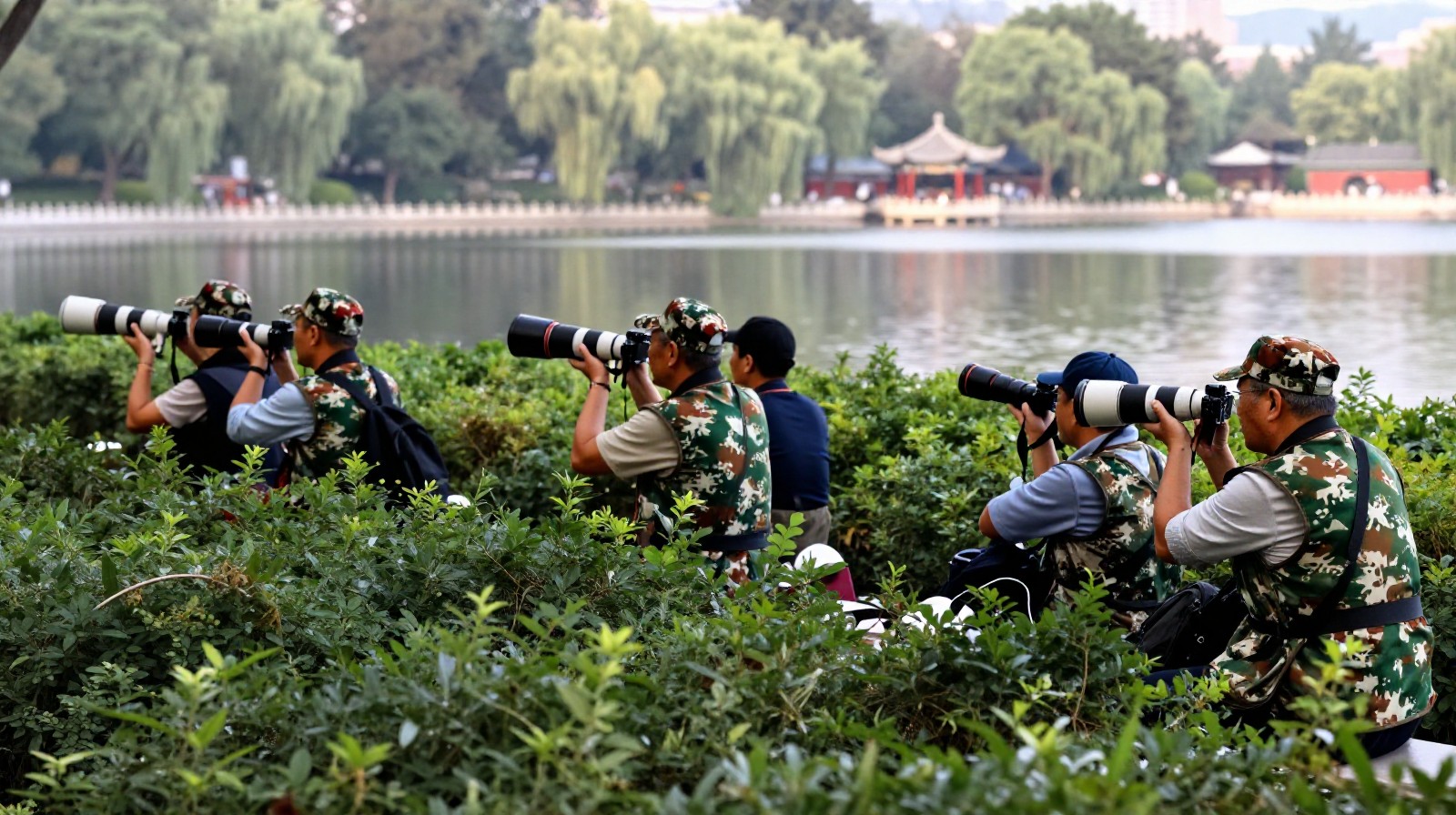 The 'Lens Uncles': Retirees Staking Out Public Parks with $10,000 Cameras to Photograph Birds