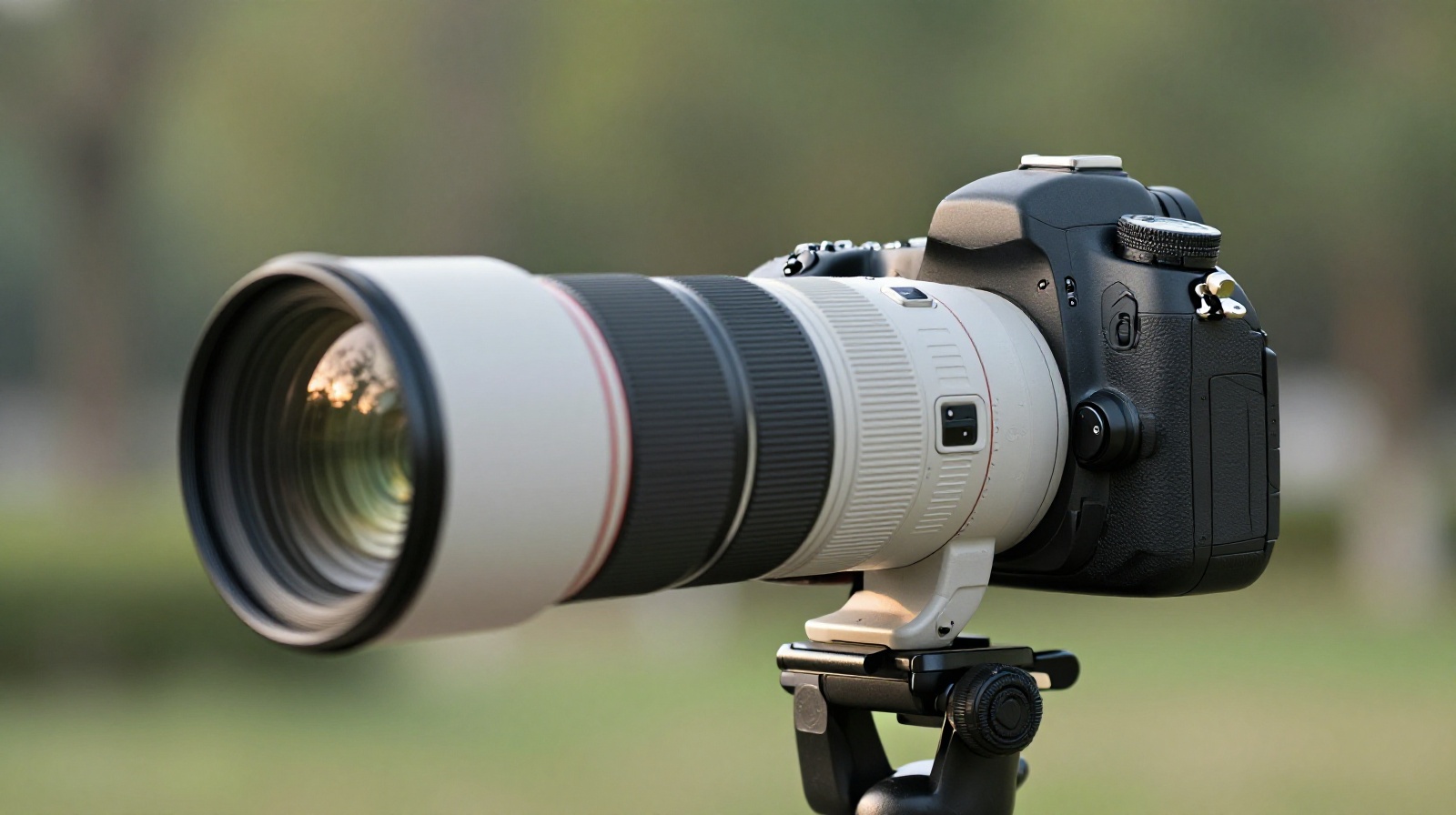 A close-up of a high-end white telephoto camera lens used by bird photographers in Chinese parks, showing the professional quality of equipment.