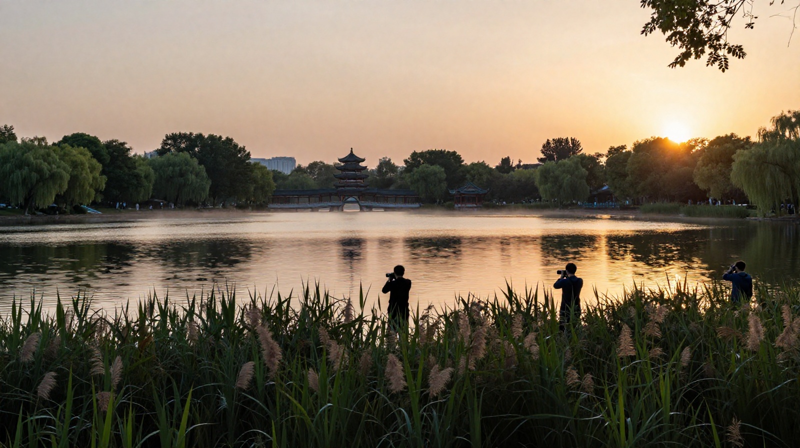 A scenic view of Chinese retirees photographing birds at a park lake during sunrise, highlighting the connection between urban life and nature.