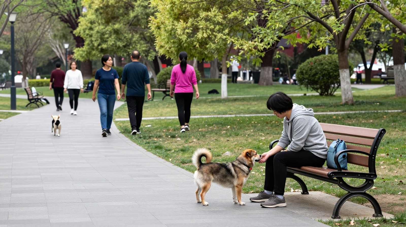 Public park scene showing interaction between pet owners and the general public in China