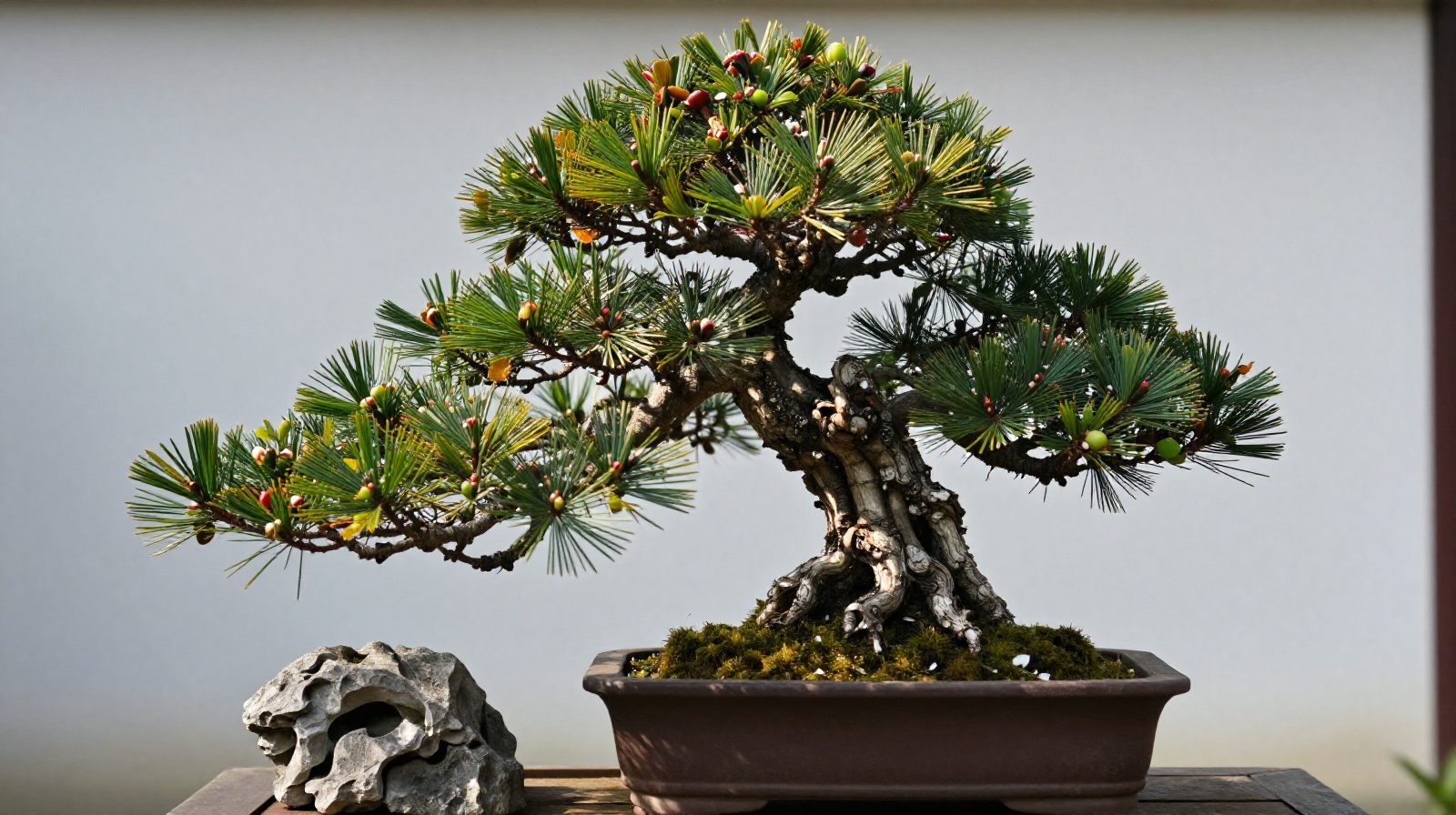 An artistic close-up of a traditional Chinese bonsai tree (penjing) shaped like a miniature mountain landscape.