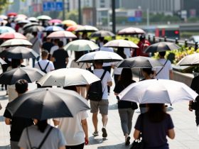 Umbrella Etiquette: Dancing Through Crowds Under the Summer Sun