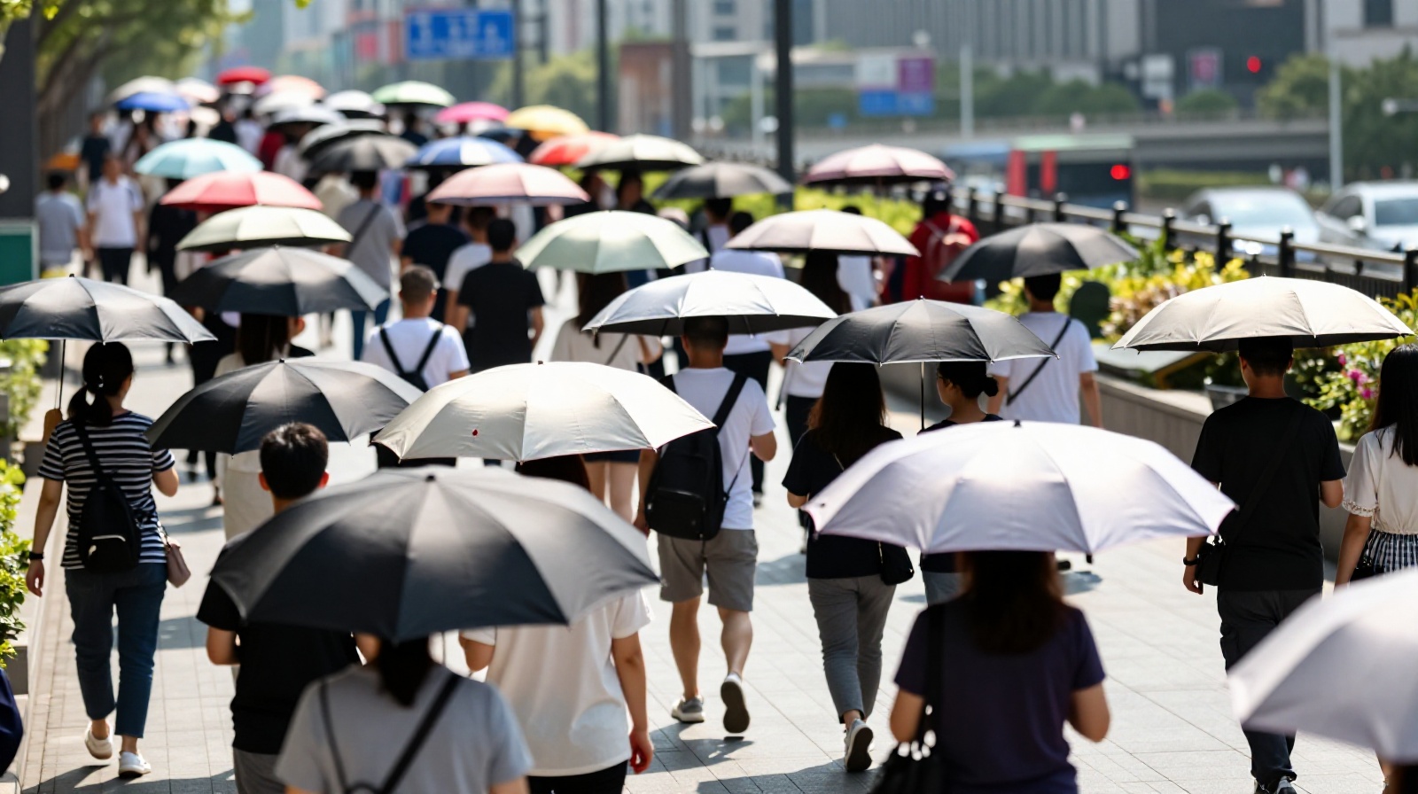 Umbrella Etiquette: Dancing Through Crowds Under the Summer Sun
