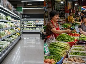 Supermarkets vs. Street Stalls: How Chinese Consumers Balance Price and Freshness