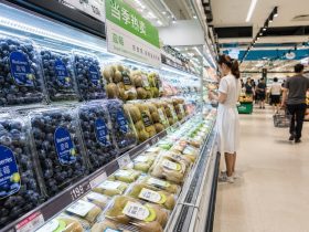 Are Seasons Obsolete? Year-Round Kiwis and Blueberries in Chinese Supermarkets