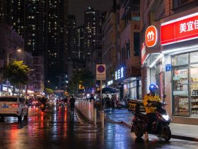 Why Chinese Cities Never Sleep: The Roots of Ordinary People's Sense of Safety