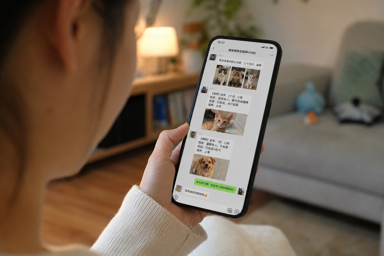 Person browsing pet adoption listings on WeChat mobile application.