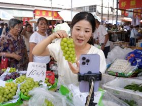 From Backstage to Spotlight: The Supply Chain and Opportunities for Ordinary People in China's Influencer Economy