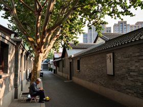 'Citywalk' Gone Wrong: Why Getting Lost in Old Neighborhoods is the Best Part of My Trip