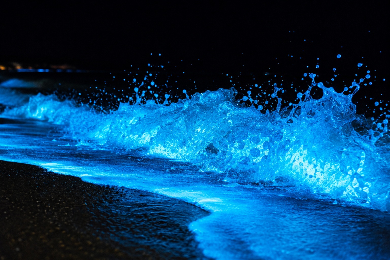 Close-up of bioluminescent 'Blue Tears' waves crashing on a beach in Pingtan Island at night, showing glowing blue foam against dark sand.