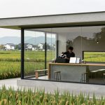 Coffee in the Fields: Young People Leaving Big Cities to Farm