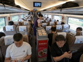 A Boxed Lunch on the High-Speed Rail: A 12-Hour Journey Diary