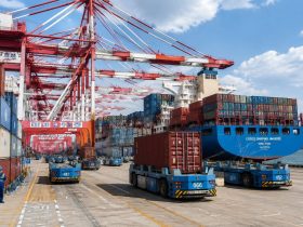 From Container to Doorstep: How Chinese Ports Shape Your Daily Life