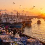 Zhoushan: How China's Biggest Fishing Port Is Adapting to a Blue Economy