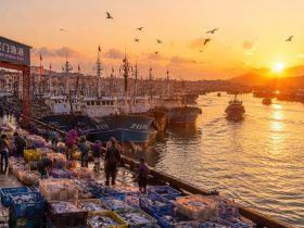 Zhoushan: How China's Biggest Fishing Port Is Adapting to a Blue Economy