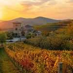 Yantai: Where Fine Wine Meets a Billion Apples