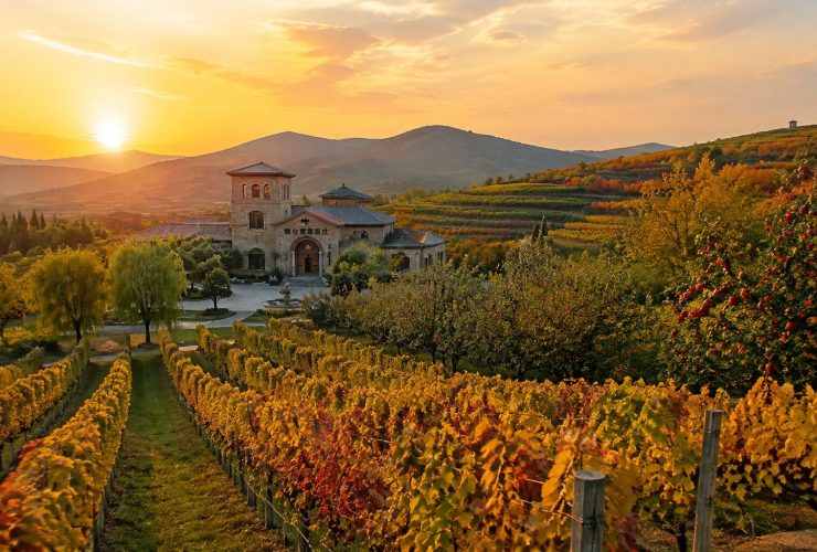 Yantai: Where Fine Wine Meets a Billion Apples