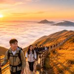 Wugong Mountain: The Golden Grassland Trek Above the Clouds