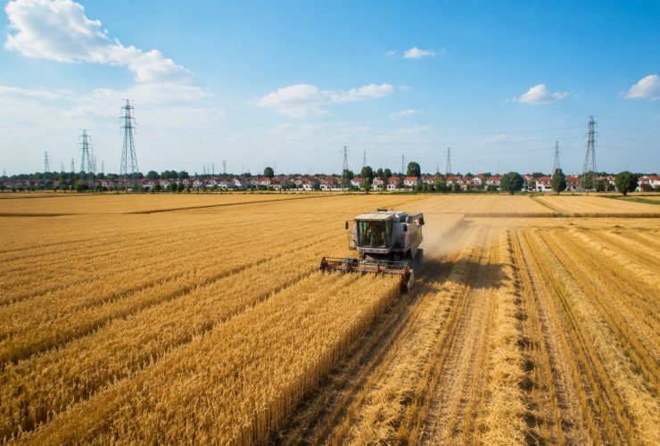 China's Breadbasket: Why Henan Tops Wheat Production Year After Year
