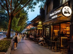 Chengdu's Night Economy: Small Bars, Night Markets, and Urban Vitality