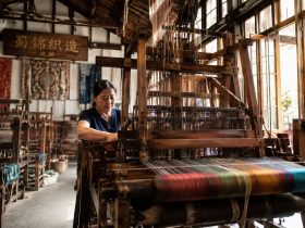Shu Brocade and Embroidery: Preserving Traditions in Modern Sichuan