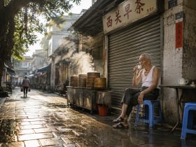 The Dim Sum Marathon: Wandering Guangzhou's Hidden Alleyways for Tea
