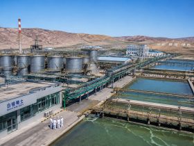 Gansu's Rare Earth Industry: The Hidden Champion Behind High-Tech