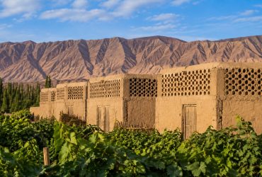 Xinjiang Vineyards: How Raisins Dried in Huts Are Exported