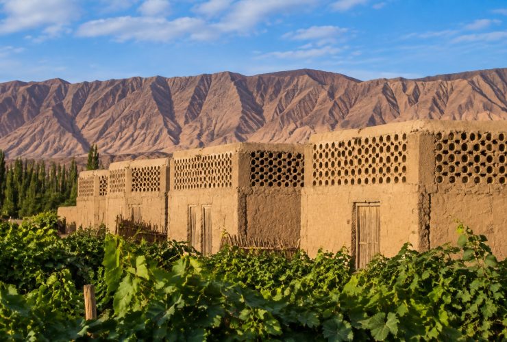 Xinjiang Vineyards: How Raisins Dried in Huts Are Exported