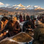 Cordyceps: The 'Soft Gold' Changing Herders' Lives in China