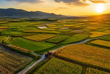 How China Feeds 1.4 Billion: A Journey from Farm to Table