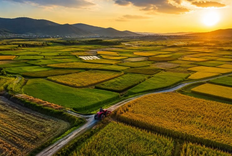 How China Feeds 1.4 Billion: A Journey from Farm to Table