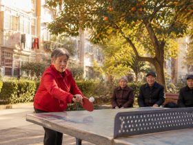 A Retired Worker's Table Tennis Life: Finding Purpose at the Community Table