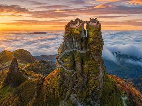 A Practical Guide to Hiking Fanjingshan: From Base to Summit, What to Expect