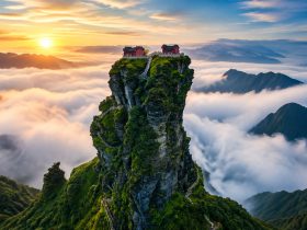 How Fanjingshan Became a UNESCO Site: Balancing Ecology and Tourism in China