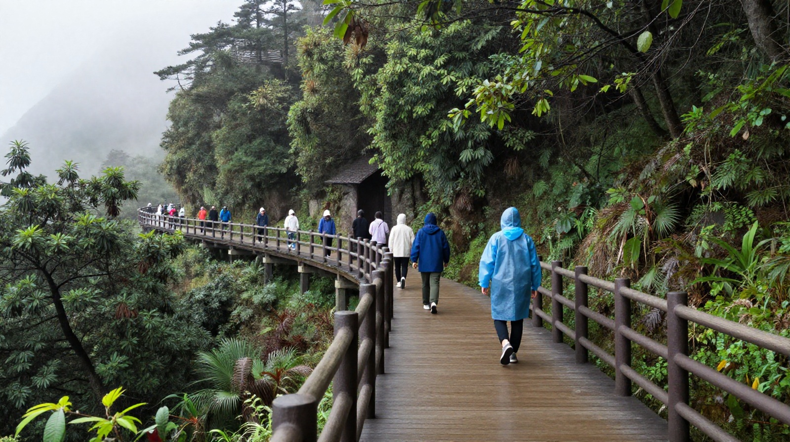 Tourists on a wooden boardwalk in the forest of Fanjingshan, demonstrating eco-friendly tourism