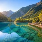A Decade After the Earthquake: Real Data on Jiuzhaigou's Ecological Recovery