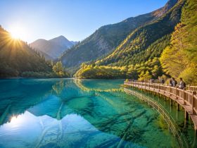 A Decade After the Earthquake: Real Data on Jiuzhaigou's Ecological Recovery
