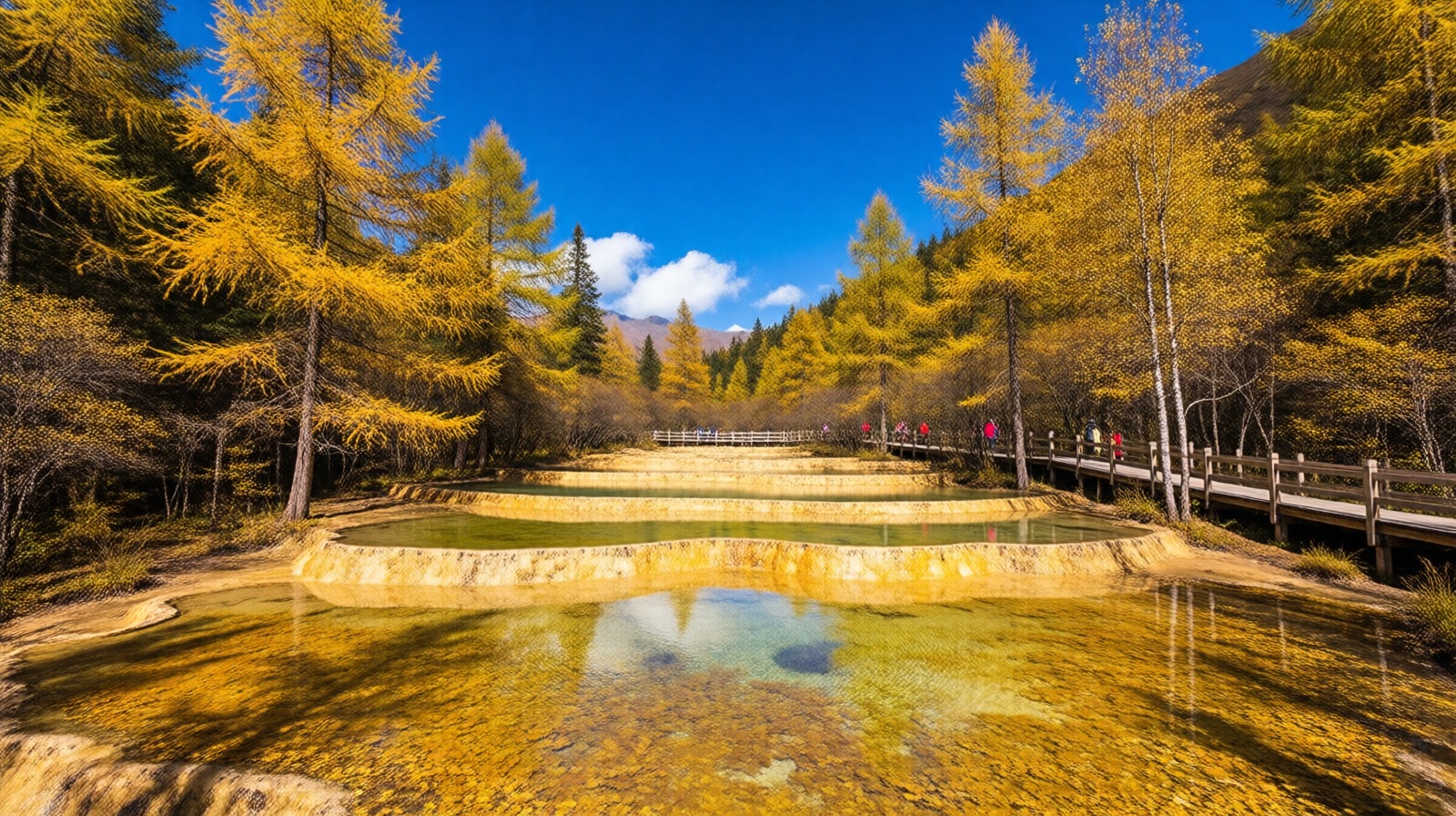 Autumn at Huanglong: golden trees, turquoise pools, and snow-capped peaks in the distance.
