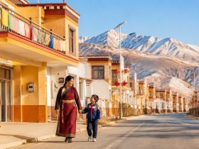 Tibetan Herders After Relocation: Starting a New Life in a Prairie New Town
